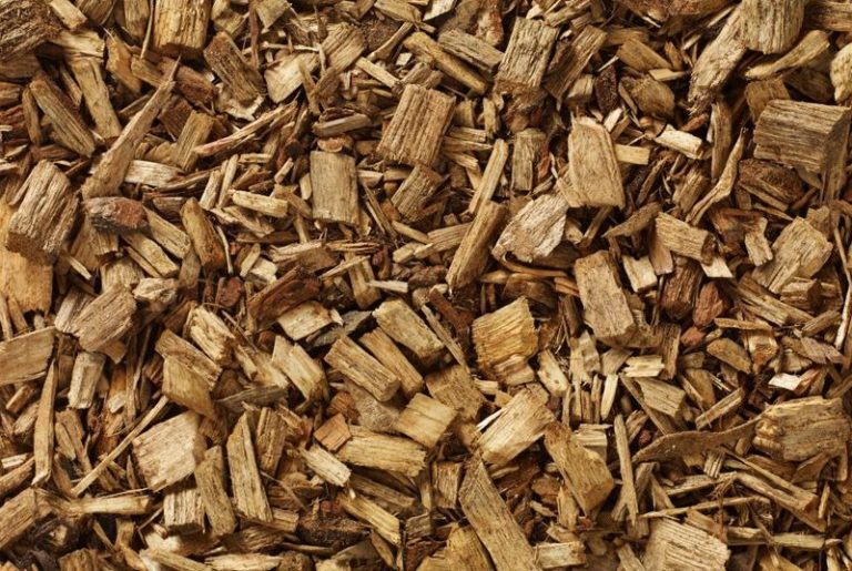 1 Cubic Meter Wood chips Devil's Dyke Firewood for Sale